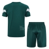 Chandal del Palmeiras Manga Corta 2023-24 Verde - Pantalon Corto
