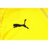 Chandal de Sudadera del Borussia Dortmund 23-24 Amarillo