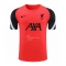 Camiseta de Entrenamiento Liverpool 20-21 Naranja Camiseta de Entrenamiento Liverpool 20-21 Naranja