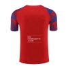 Camiseta de Entrenamiento Barcelona 23-24 Rojo