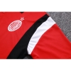 Camiseta Polo del AC Milan 2023-24 Rojo