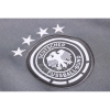 Chaqueta del Alemania 2020 Gris