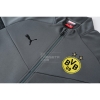 Chandal de Chaqueta del Borussia Dortmund 2022-2023 Gris